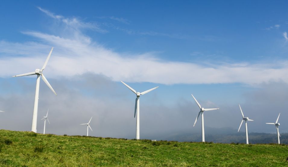 EU laws proved key in overturning Derryadd Windfarm planning approval